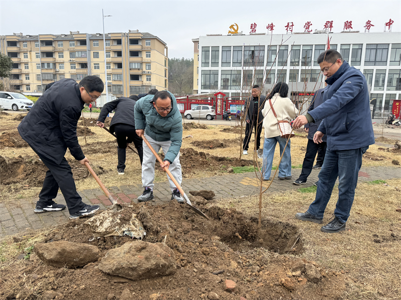 老师们2.jpg